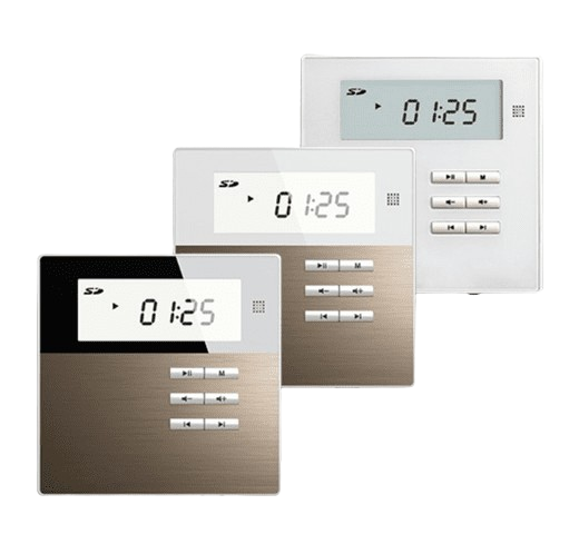 DM835 Smart Home on Wall Music Mini Amplifier #745