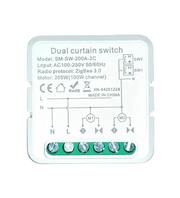 Zigbee 2 Gang Curtain Module