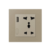 Zigbee Smart Socket With USB- EU - Golden