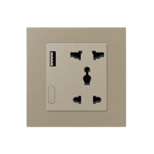 Zigbee Smart Socket With USB- EU - Golden