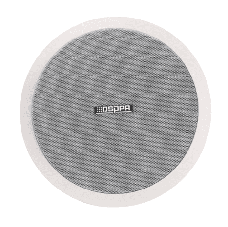DSP804 _  8”  30W