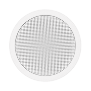 DSP803 - 6.5" - 10W
