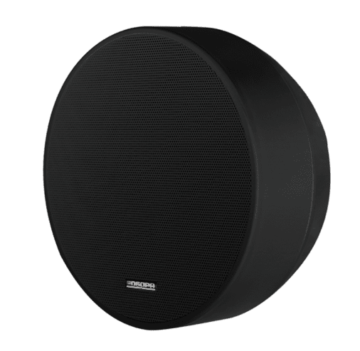 DSP5311B - 6.5" - 6W