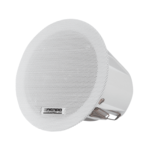 DSP3011C - 3" - 6W