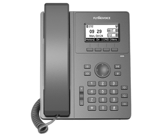 IP Phone P10P