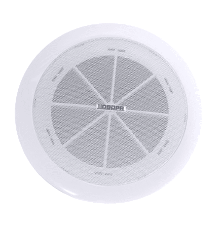 DSP802 - 6.5” - 10W
