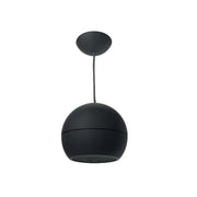 DSP107B - 15W